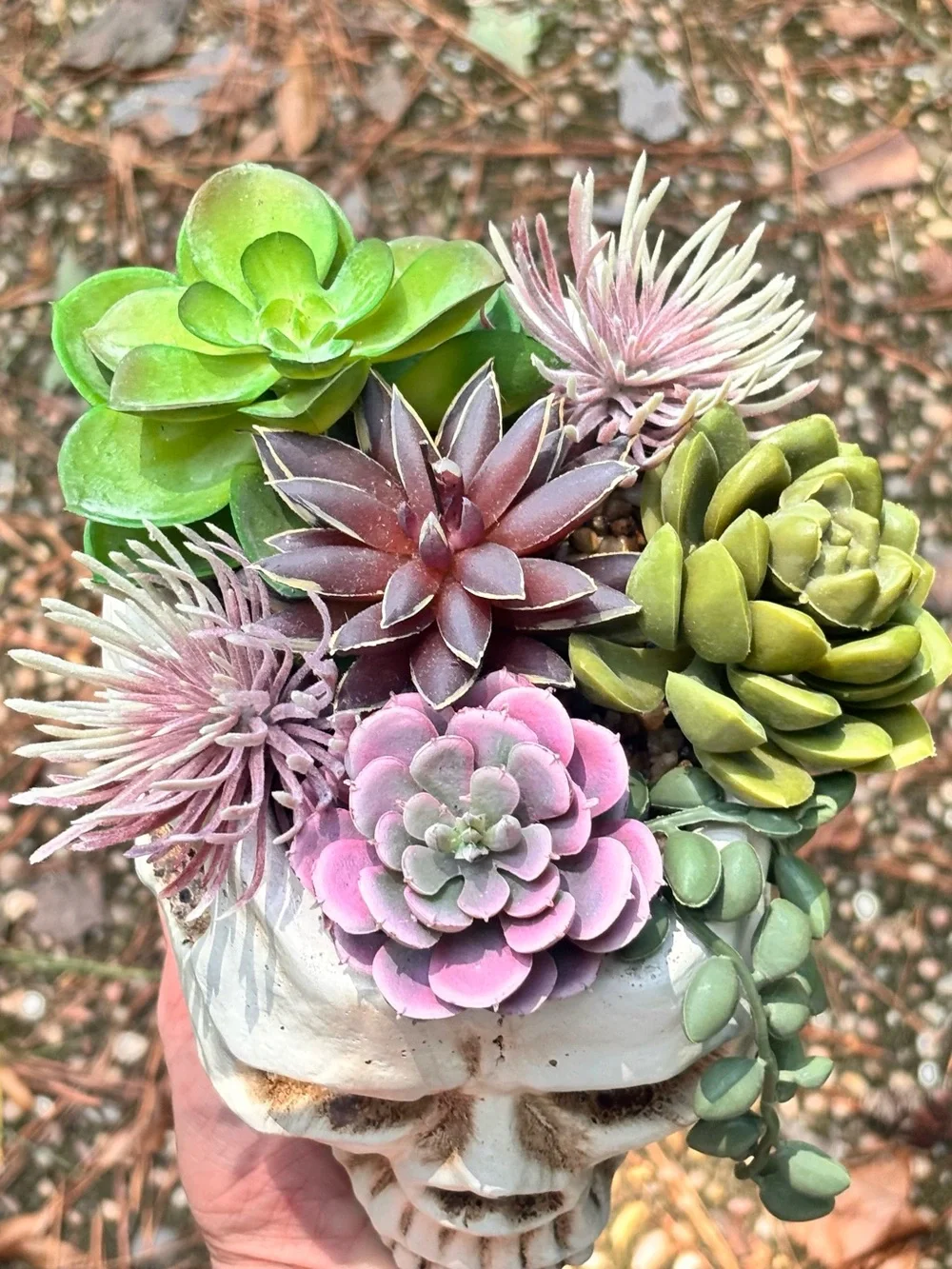 Gothic Skull Planter w/ Faux Succulents